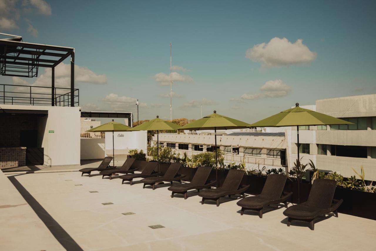 Caleta Hostel Rooftop & Pool Κανκούν Εξωτερικό φωτογραφία